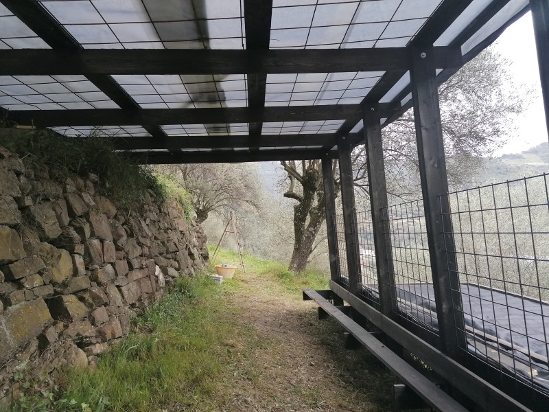 Click here for full details of this property for sale in Val Argentina, Italy.